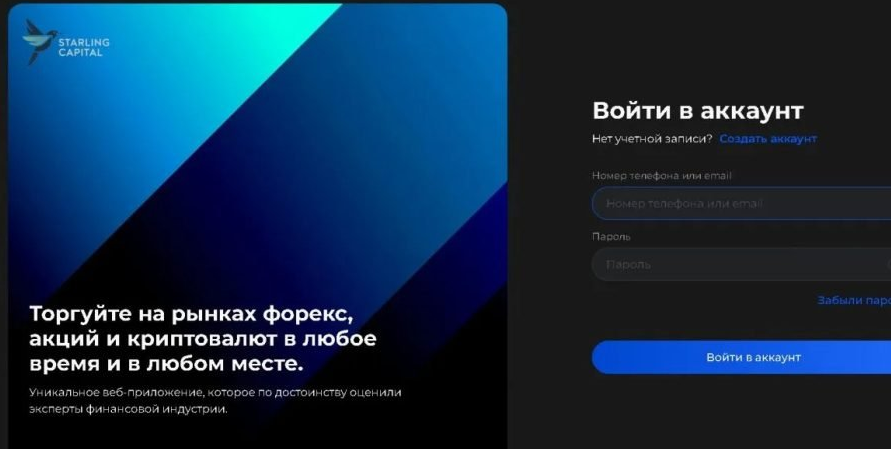 Starling Capital — отзывы клиентов и комплексный обзор брокера